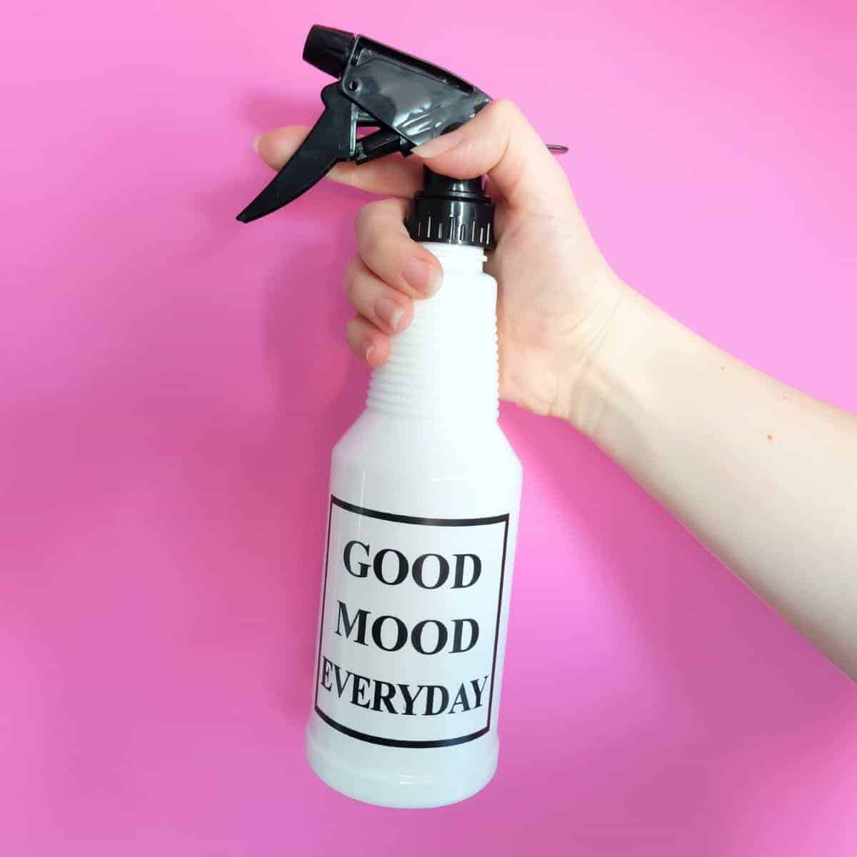 How to Clean Walls with Flat Paint without Removing Paint!