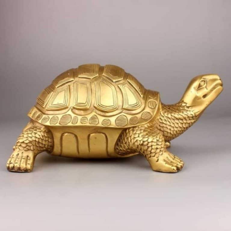 Turtle in Feng Shui: Placement, Symbol and Meaning | Honest Home Talks