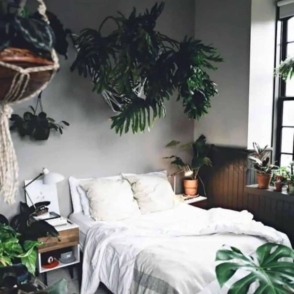 Bedroom with many dark lush green plants